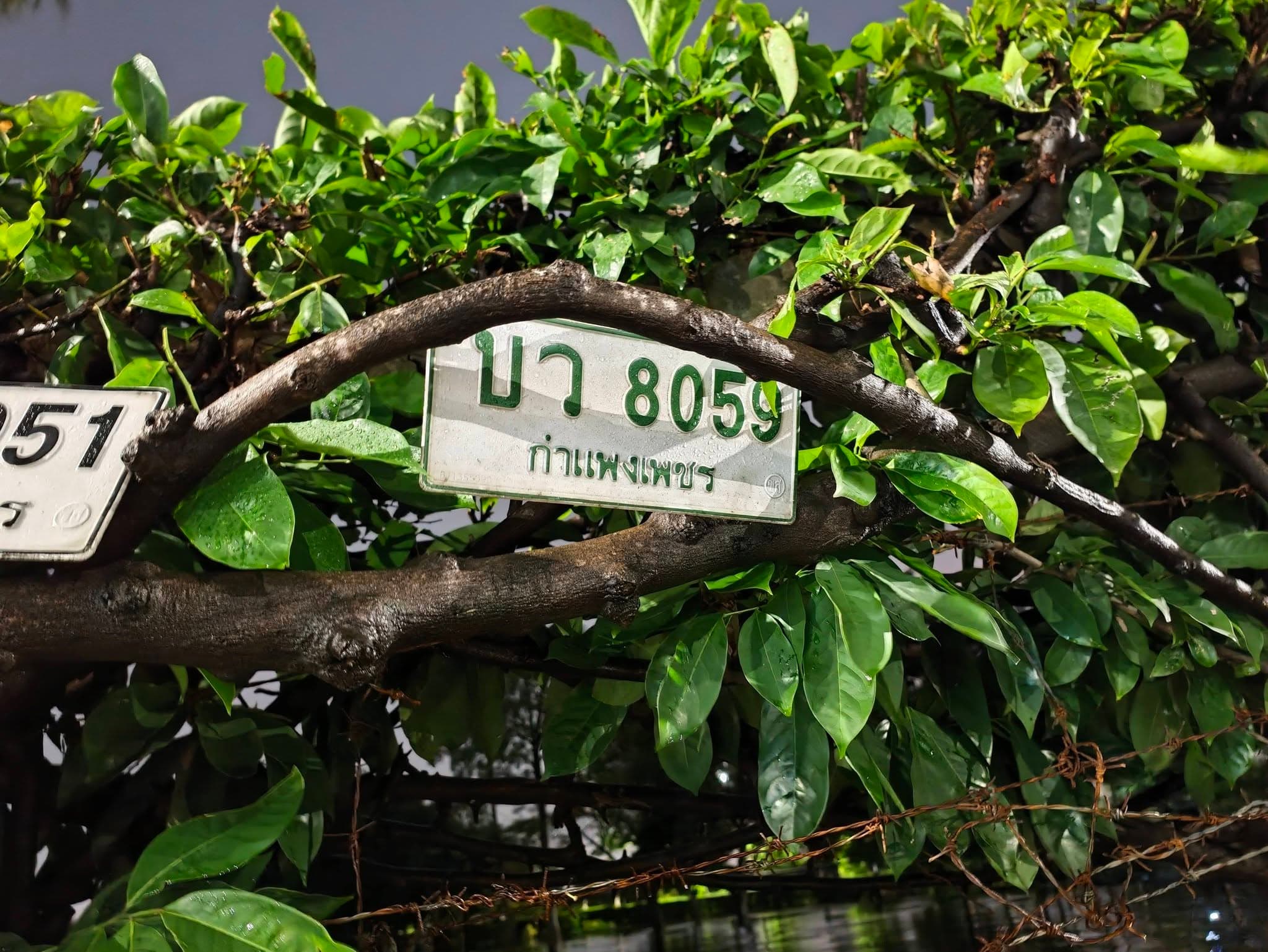 ภาพถ่ายจริงของป้าย บว 8059