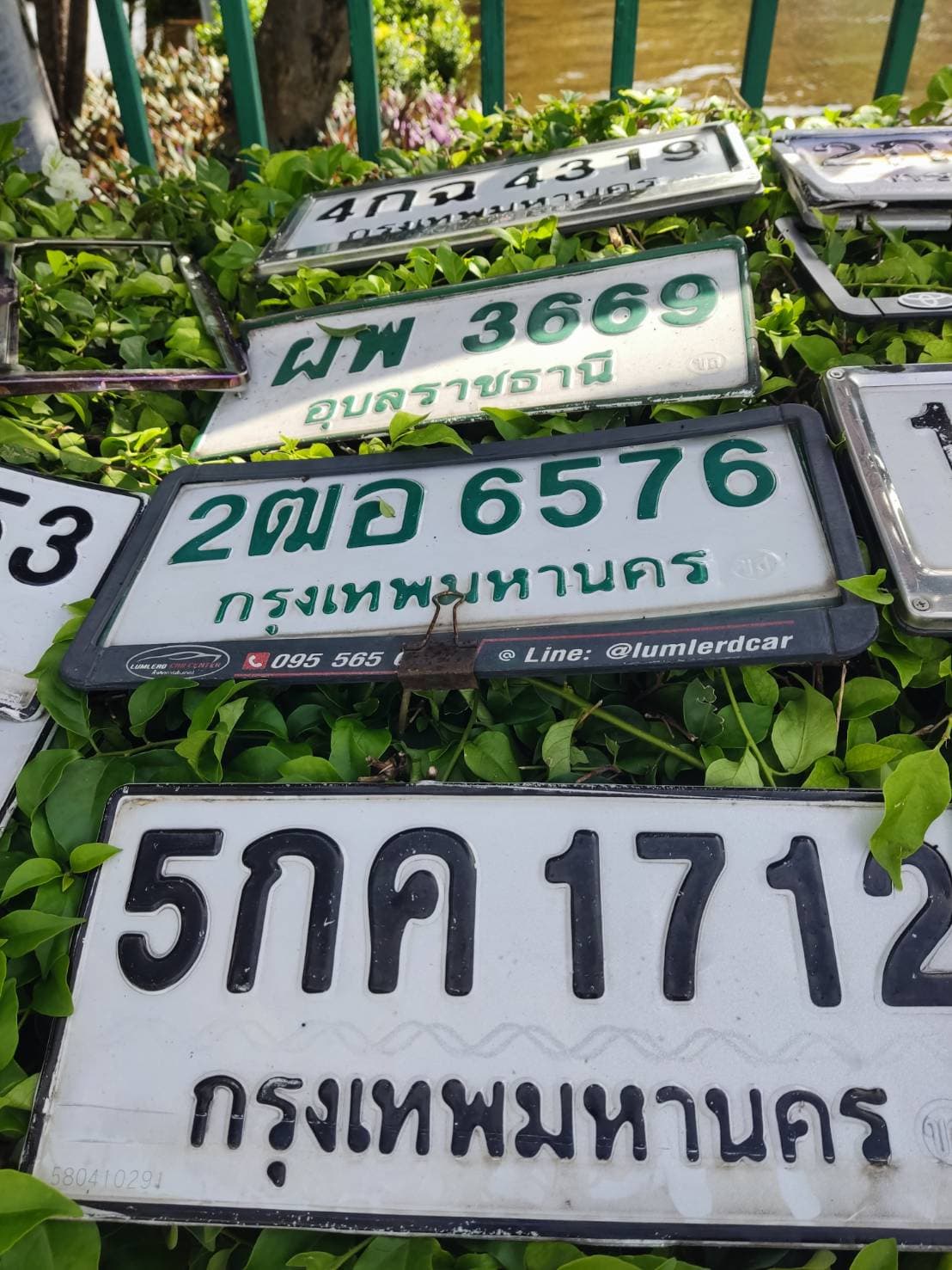 ภาพถ่ายจริงของป้าย 4กฉ 4319