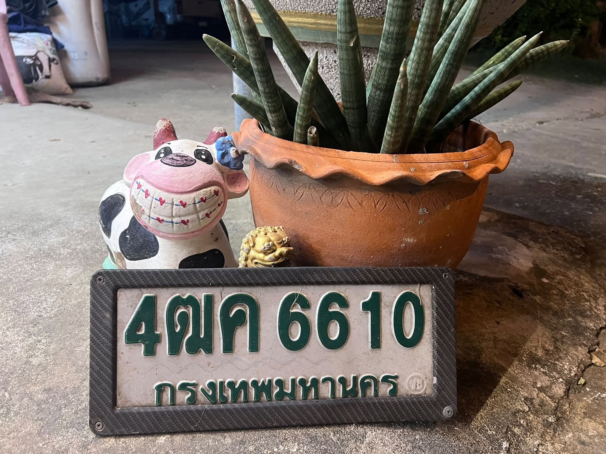 ภาพถ่ายจริงของป้าย 4ฒค 6610