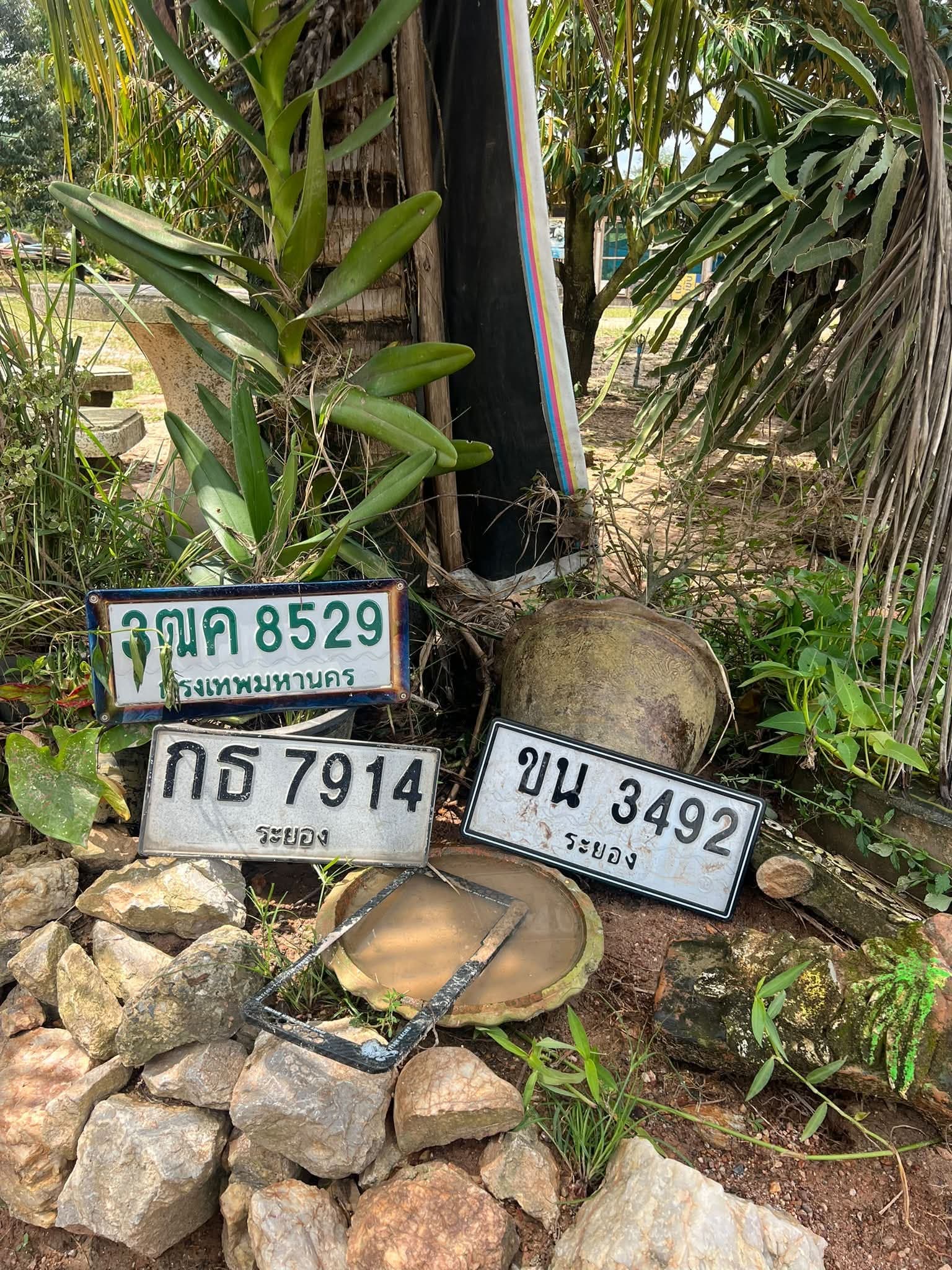 ภาพถ่ายจริงของป้าย ขน 3492