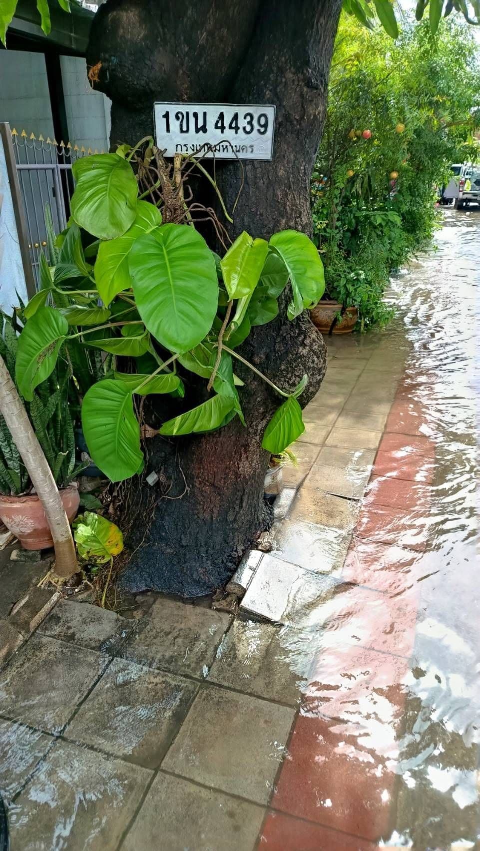 ภาพถ่ายจริงของป้าย 1ขน 4439